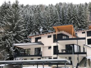 Galeriebild der Unterkunft Premium apartment in ski area Bad Kleinkirchheim in Bad Kleinkirchheim