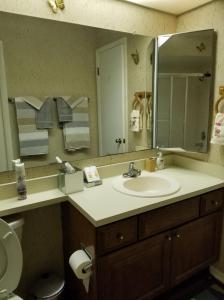 a bathroom with a sink and a mirror and a toilet at Island Life in Saint Augustine Beach