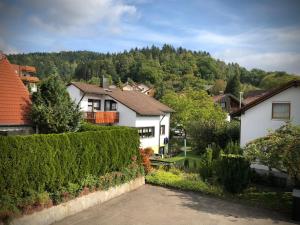 a residential neighborhood with houses and a driveway at Gästehaus Alm-Blick in Murrhardt