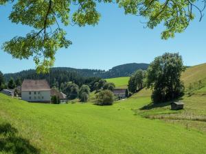 pole zielonej trawy z domem w oddali w obiekcie Holiday flat with balcony in Black Forest w mieście Furtwangen im Schwarzwald