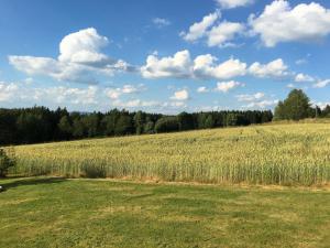 DietersdorfにあるCozy group house with its own garden and wellness areaの青空雲の高い草原