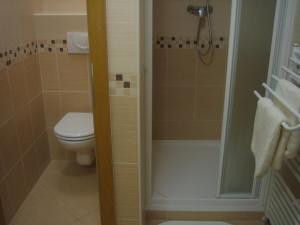 een kleine badkamer met een toilet en een douche bij Chata - Apartmán Čistá v Krkonoších in Cerny Dul