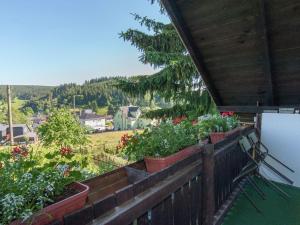 holiday home with sauna Thuringian Forest في نويهاوس آم رنفيغ: شرفة مع نباتات الفخار على المنزل