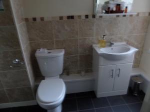 een badkamer met een toilet en een wastafel bij The Grays in Blackpool