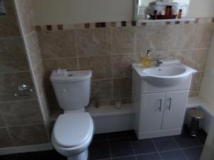 a bathroom with a toilet and a sink at The Grays in Blackpool