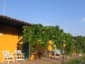 a group of tables and chairs under a large tree at Belvilla by OYO Casa Reale Due in Valdamonte