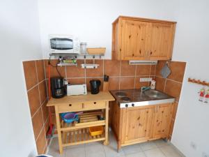 a small kitchen with wooden cabinets and a sink at Apartment in Bohemian with Private Terrace in Dolní Lánov