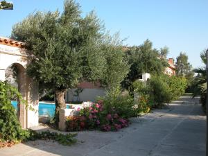 a row of trees and flowers in front of a house at Sprawling Vlilla in Malades in Áyios Síllas