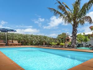 una gran piscina con una palmera en el fondo en Belvilla by OYO Mango 4 pax, en Playa Blanca