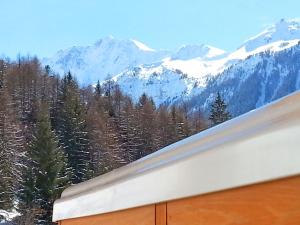 New and very comfortable chalet with many facilities during the winter