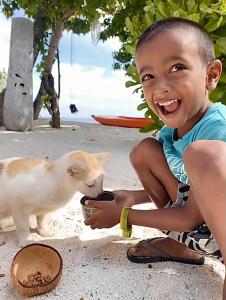 Majutusasutuse Samura Maldives Guest House Thulusdhoo külastajatega peatuv lemmikloom või lemmikloomad