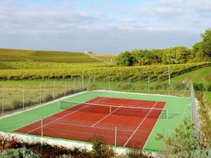 Saint-PreuilにあるLuxury apartment with terrace sauna tennis and heated poolの野原中のテニスコート
