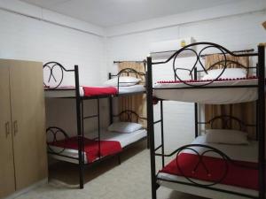 Rúm í herbergi á Monkey Samui Hostel