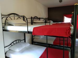 מיטה או מיטות קומותיים בחדר ב-Monkey Samui Hostel