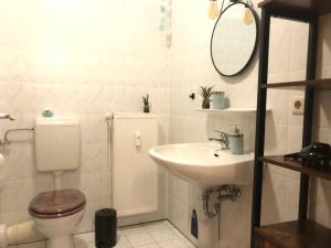 a bathroom with a toilet and a sink and a mirror at Cottbus-Apartments - Green Apartment I privat I Wifi I Küche I Balkon in Cottbus +19 photos