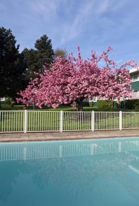 Bazén v ubytování Holiday Inn Lille Ouest Englos by IHG nebo v jeho okolí