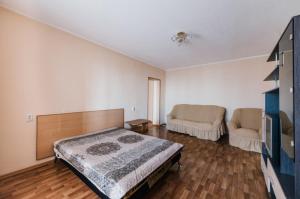 チタにあるDekabrist apartment on Anokhina 120Aのベッドルーム(ベッド1台、ソファ、テレビ付)