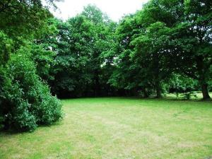 un campo con árboles, césped verde y árboles en Ellison Hall, en Hebburn-on-Tyne