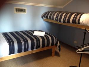 two bunk beds in a room with a blue wall at Canobolas Mountain Cabins in Lidster