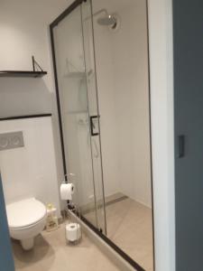 La salle de bains est pourvue de toilettes et d'une douche en verre. dans l'établissement Au Studio 339 des Terrasses de Malmedy, à Malmedy