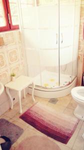 a bathroom with a shower with a toilet and a sink at Samobor holiday villa - Samoborski ljetnikovac in Samobor