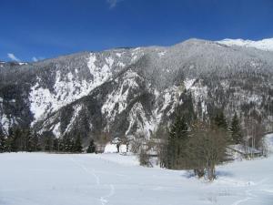 a snow covered mountain with trees in front of it at Chalet 1200 in Saint-François-Longchamp