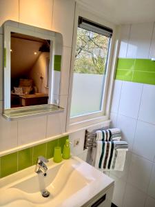 a bathroom with a sink and a mirror at Appartement Soerte Es in Wapse