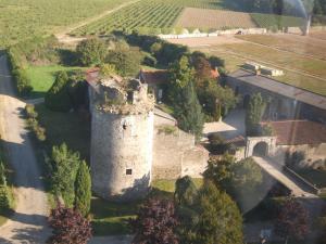 - une vue aérienne sur un château dans un champ dans l'établissement Château de la Galissonnière, au Pallet