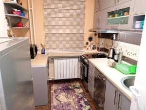 Apartman Aleksandar tesisinde mutfak veya mini mutfak