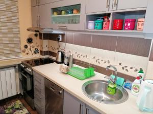 A kitchen or kitchenette at Apartman Aleksandar