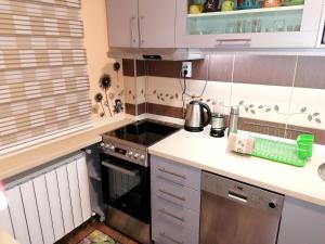 Apartman Aleksandar tesisinde mutfak veya mini mutfak
