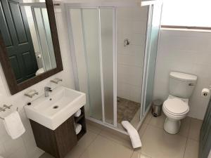 La salle de bains est pourvue de toilettes, d'un lavabo et d'une douche. dans l'établissement Airport lodge Newcastle, à Newcastle