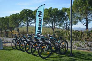 Jazda na bicykli v okolí ubytovania Agriturismo Torre del Marino