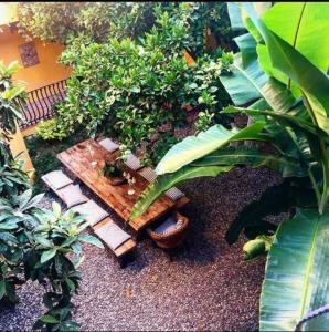 A garden outside Han Boutique Hotel