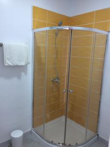 プラヤ・デル・イングレスにあるApartamentos Beatrizのバスルーム(ガラスドア付きのシャワー付)