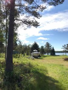 ein Boot auf einem Feld neben einem Baum in der Unterkunft Marbyfjärden seaside village Loftet in Eckerö
