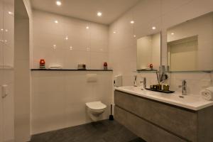 a bathroom with a toilet and a sink and a mirror at Wellness Suite Zeist in Zeist +5 photos