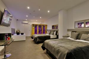 a bedroom with two beds and a flat screen tv at Wellness Suite Zeist in Zeist
