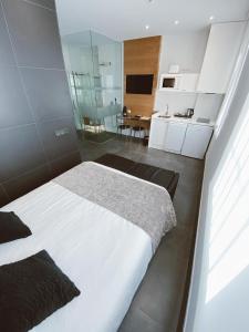 Una cocina o zona de cocina en Salamanca Suites Libertad