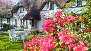 Gallery image of Thatched Eaves in Ibsley