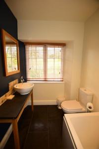 uma casa de banho com um lavatório, um WC e uma janela. em Farra Grain, Little Langdale em Little Langdale