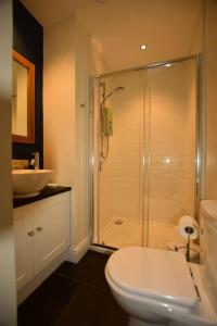 a bathroom with a shower and a toilet and a sink at Farra Grain, Little Langdale in Little Langdale