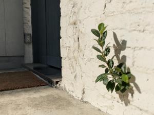 Fotografie z fotogalerie ubytování Qianmo - Cheng Tung Homestay v destinaci Tchaj-nan