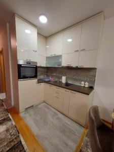 Η κουζίνα ή μικρή κουζίνα στο Apartman Virić +2 φωτογραφίες