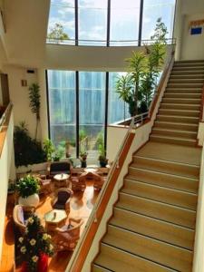 Zahrada ubytování Hotel das Taipas
