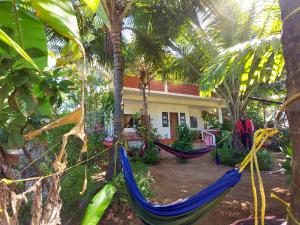 un par de hamacas frente a una casa en Cocopelli Guest House, en Gokarna