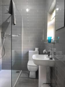 een badkamer met een toilet, een wastafel en een douche bij Finkle Green B & B in Wortley