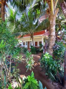 Gallery image of Cocopelli Guest House in Gokarna