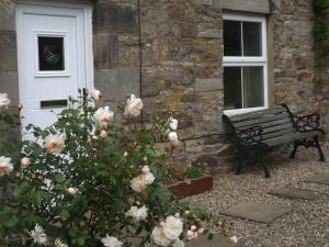 a bench in front of a building with a door and roses at Hillis Close Farm Cottage in Haltwhistle