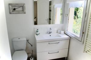 y baño con aseo, lavabo y espejo. en Paulanosa Gite, en Asnières-sur-Vègre
